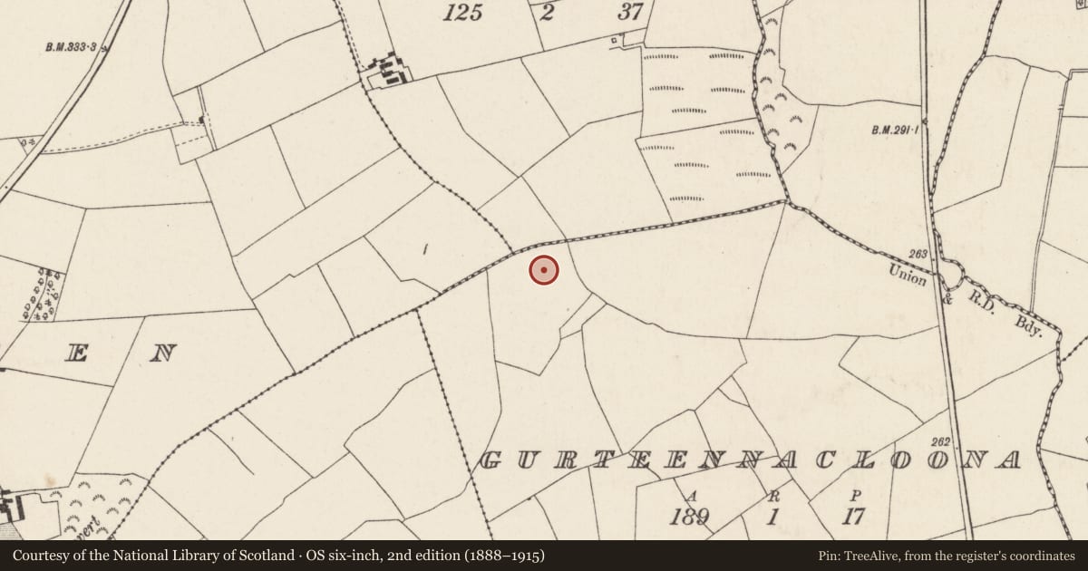 Ordnance Survey six-inch map, 2nd edition (1888–1915) covering the location of Fulacht fia, Gurteennacloona, County Cork, with a pin at the register's coordinates