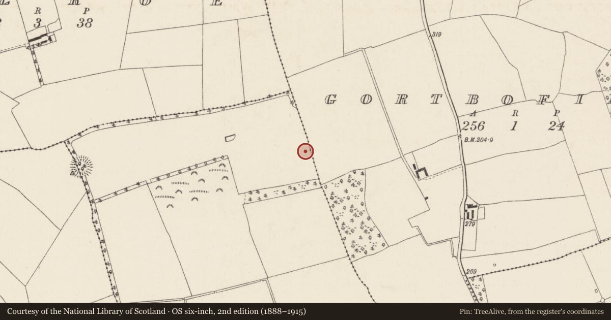 Ordnance Survey six-inch map, 2nd edition (1888–1915) covering the location of Fulacht fia, Woodpark, County Cork, with a pin at the register's coordinates