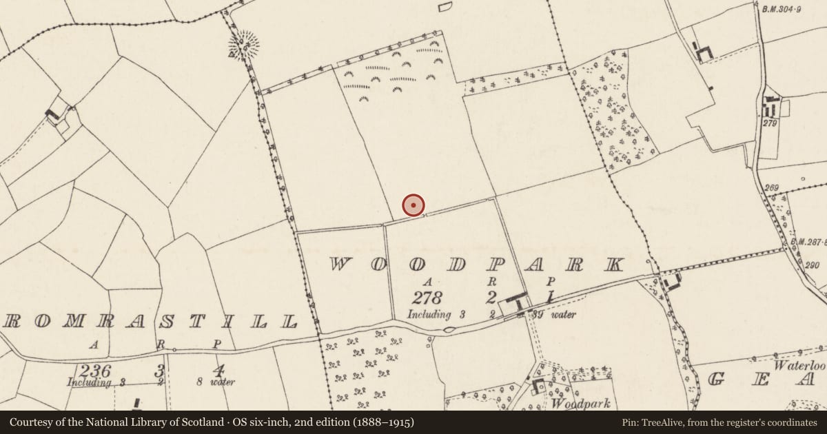 Ordnance Survey six-inch map, 2nd edition (1888–1915) covering the location of Fulacht fia, Woodpark, County Cork, with a pin at the register's coordinates