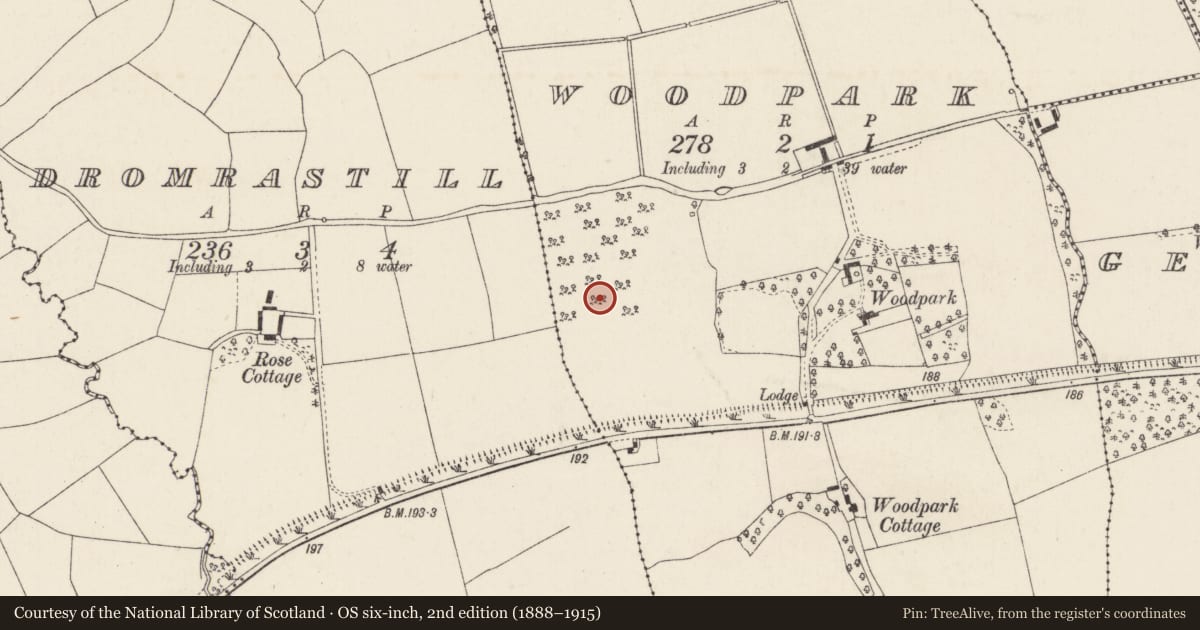 Ordnance Survey six-inch map, 2nd edition (1888–1915) covering the location of Fulacht fia, Woodpark, County Cork, with a pin at the register's coordinates