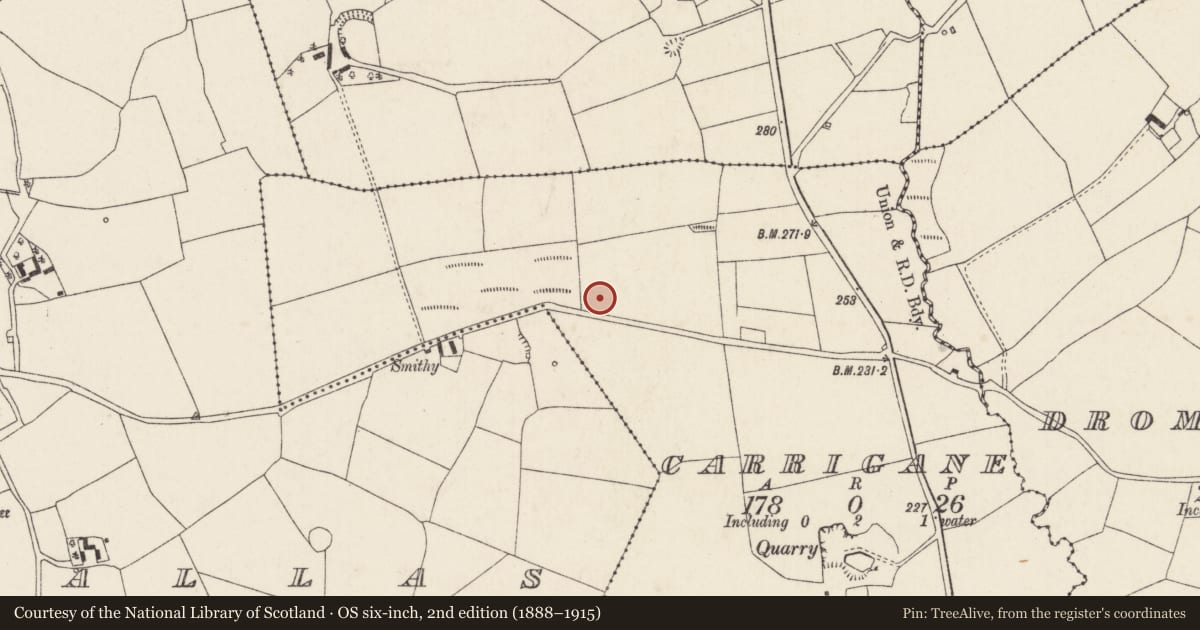 Ordnance Survey six-inch map, 2nd edition (1888–1915) covering the location of Fulacht fia, Garrigane, County Cork, with a pin at the register's coordinates