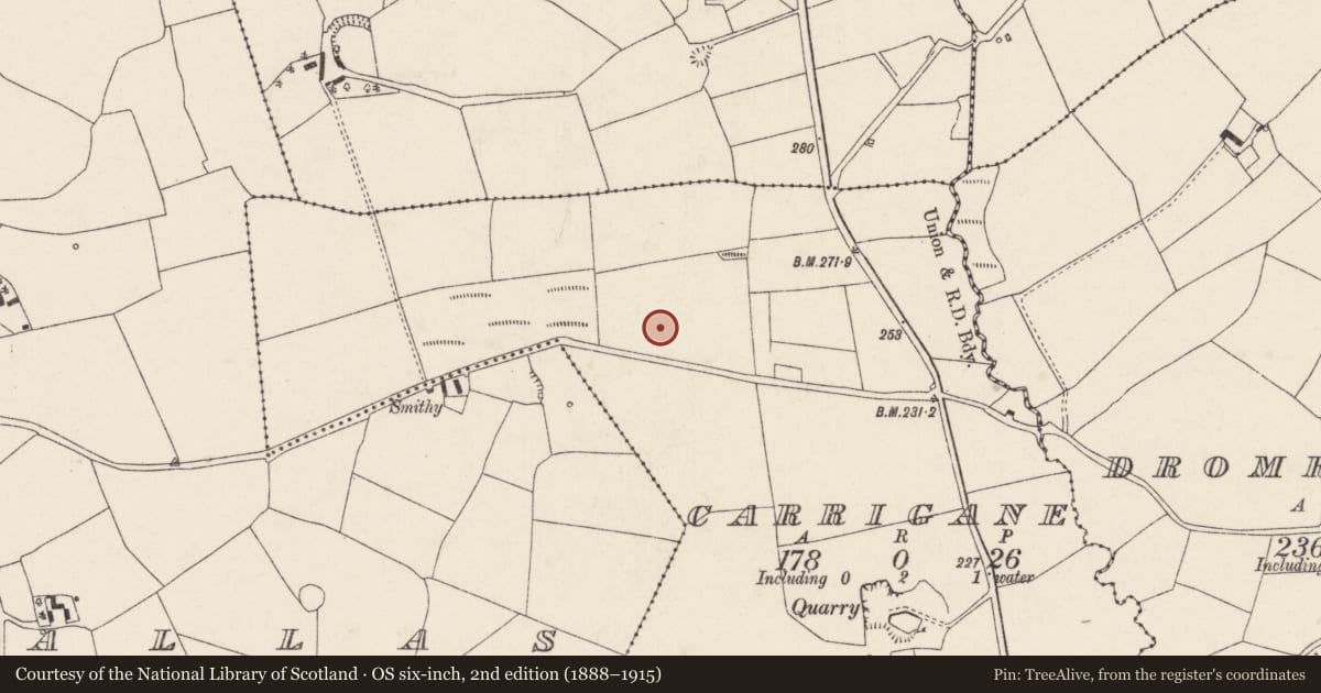 Ordnance Survey six-inch map, 2nd edition (1888–1915) covering the location of Fulacht fia, Garrigane, County Cork, with a pin at the register's coordinates