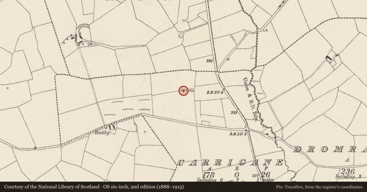 Ordnance Survey six-inch map, 2nd edition (1888–1915) covering the location of Fulacht fia, Garrigane, County Cork, with a pin at the register's coordinates