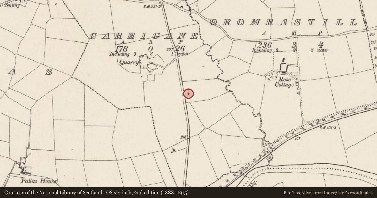 Ordnance Survey six-inch map, 2nd edition (1888–1915) covering the location of Fulacht fia, Garrigane, County Cork, with a pin at the register's coordinates