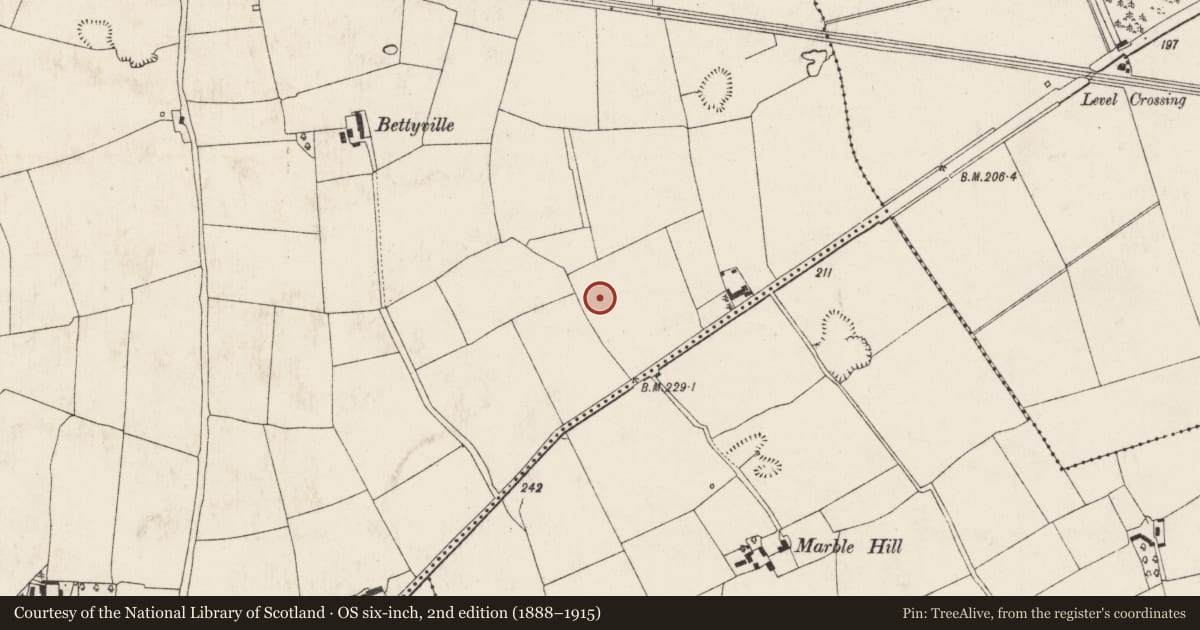 Ordnance Survey six-inch map, 2nd edition (1888–1915) covering the location of Fulacht fia, Dromaneen, County Cork, with a pin at the register's coordinates