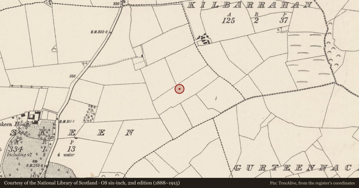 Ordnance Survey six-inch map, 2nd edition (1888–1915) covering the location of Fulacht fia, Roskeen, County Cork, with a pin at the register's coordinates