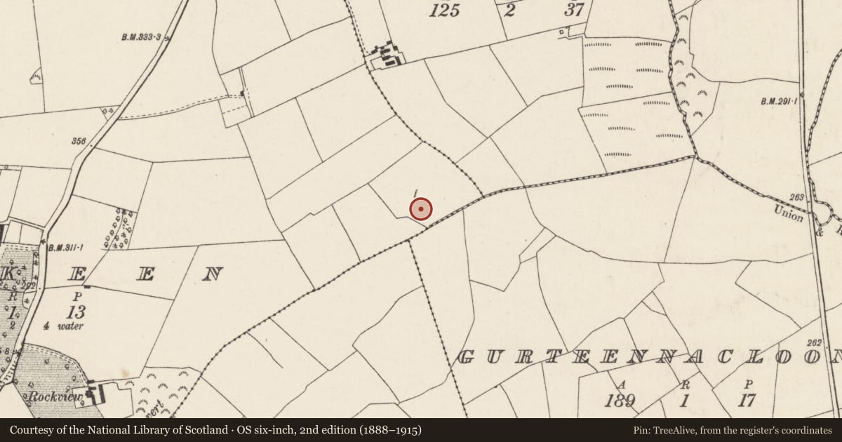 Ordnance Survey six-inch map, 2nd edition (1888–1915) covering the location of Fulacht fia, Roskeen, County Cork, with a pin at the register's coordinates