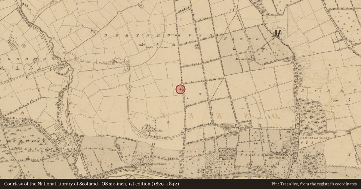 Ordnance Survey six-inch map, 1st edition (1829–1842) covering the location of Fulacht fia, Gortnagross (Duhallow By., Ballyclogh Par.), County Cork, with a pin at the register's coordinates