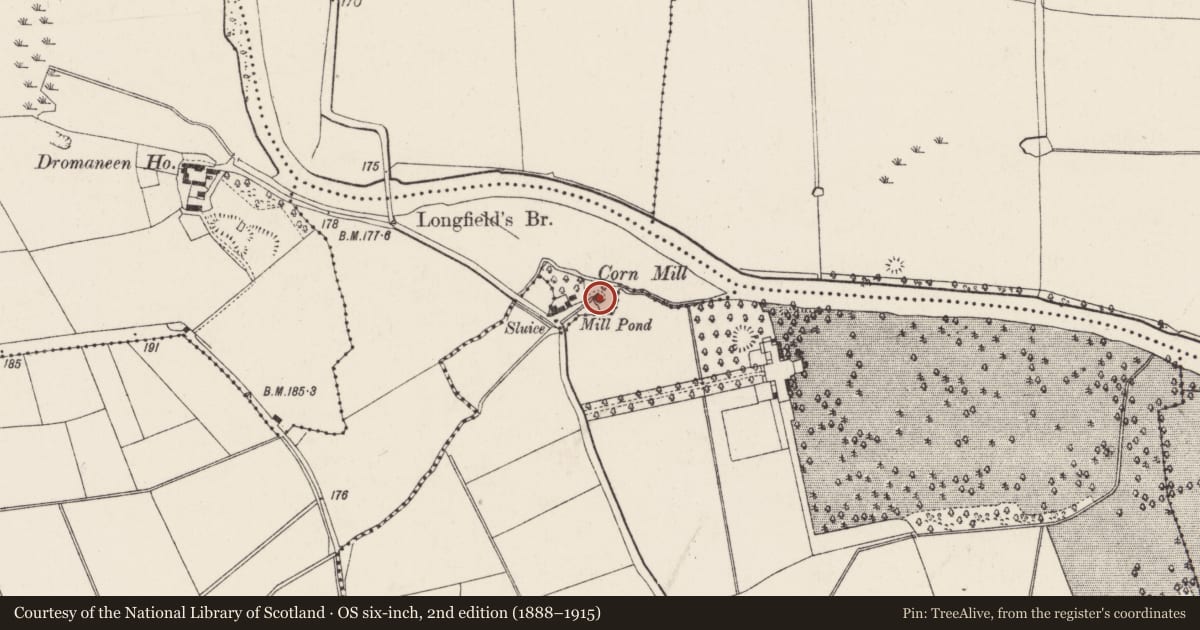 Ordnance Survey six-inch map, 2nd edition (1888–1915) covering the location of Mill - corn, Newberry, County Cork, with a pin at the register's coordinates
