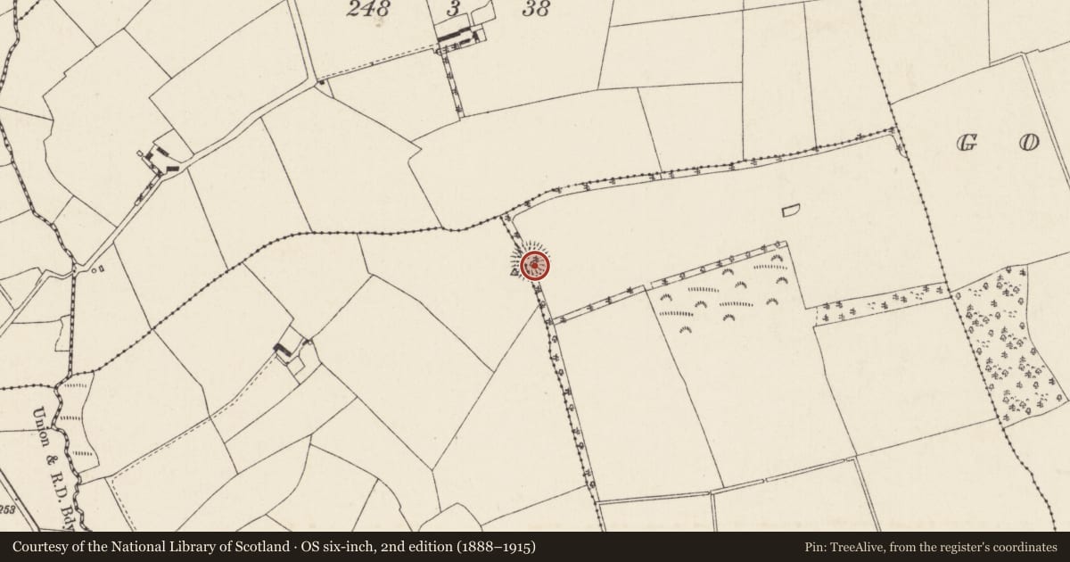 Ordnance Survey six-inch map, 2nd edition (1888–1915) covering the location of Souterrain, Dromrastill, Woodpark, County Cork, with a pin at the register's coordinates