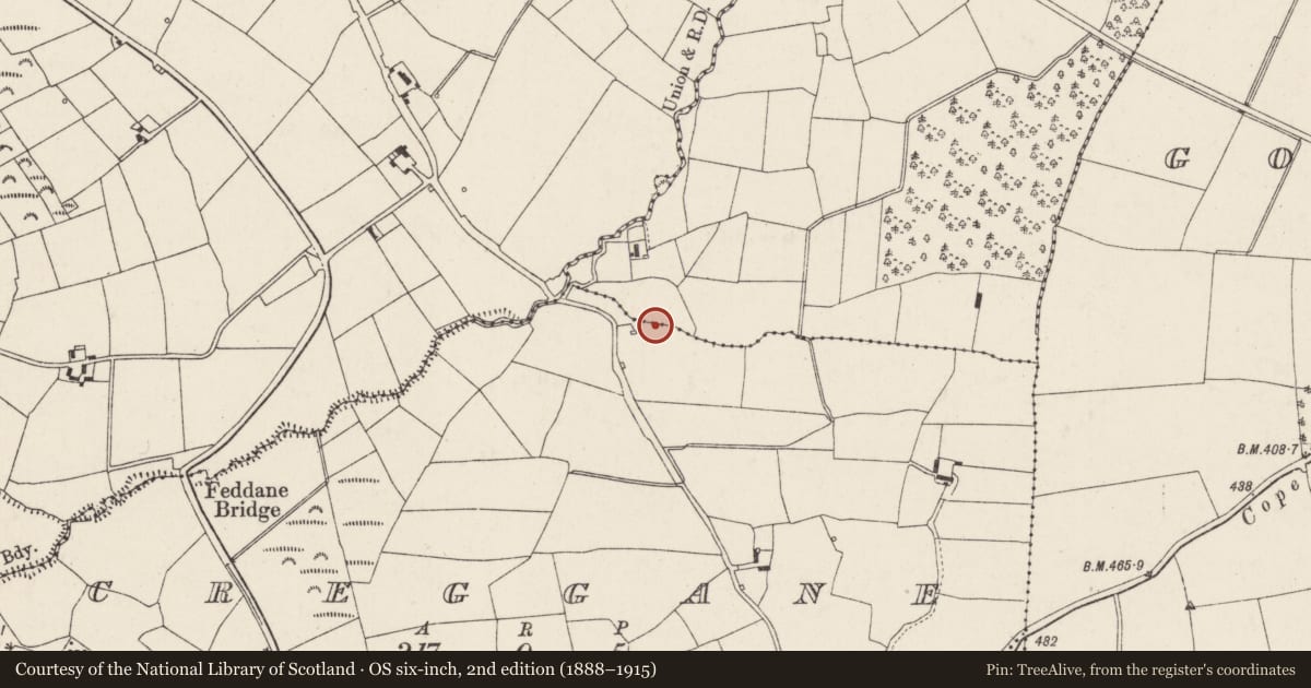 Ordnance Survey six-inch map, 2nd edition (1888–1915) covering the location of Souterrain, Creggane, Gortavoher, County Cork, with a pin at the register's coordinates