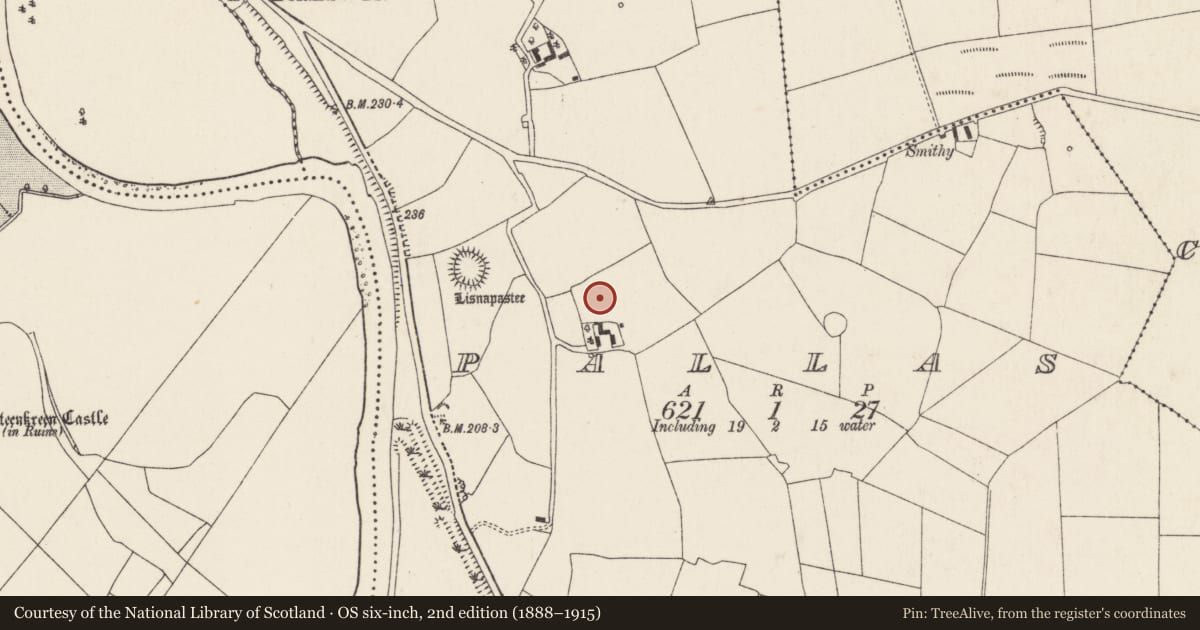 Ordnance Survey six-inch map, 2nd edition (1888–1915) covering the location of Fulacht fia, Pallas, County Cork, with a pin at the register's coordinates
