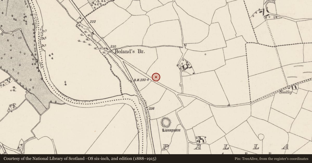 Ordnance Survey six-inch map, 2nd edition (1888–1915) covering the location of Enclosure, Pallas, County Cork, with a pin at the register's coordinates