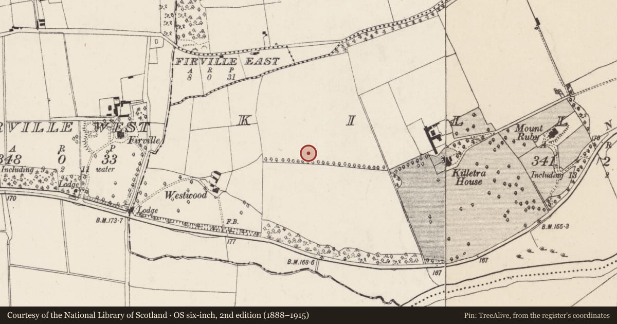 Ordnance Survey six-inch map, 2nd edition (1888–1915) covering the location of Enclosure, Killetra, County Cork, with a pin at the register's coordinates