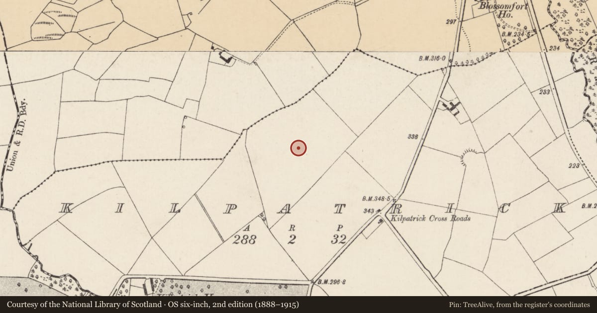 Ordnance Survey six-inch map, 2nd edition (1888–1915) covering the location of Field system, Kilpatrick, County Cork, with a pin at the register's coordinates