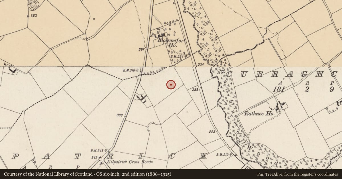 Ordnance Survey six-inch map, 2nd edition (1888–1915) covering the location of Enclosure, Kilpatrick, County Cork, with a pin at the register's coordinates