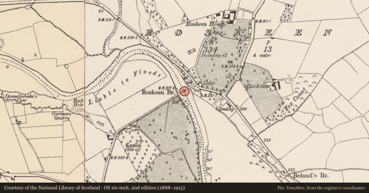 Ordnance Survey six-inch map, 2nd edition (1888–1915) covering the location of Bridge, Gortmore, Roskeen, County Cork, with a pin at the register's coordinates