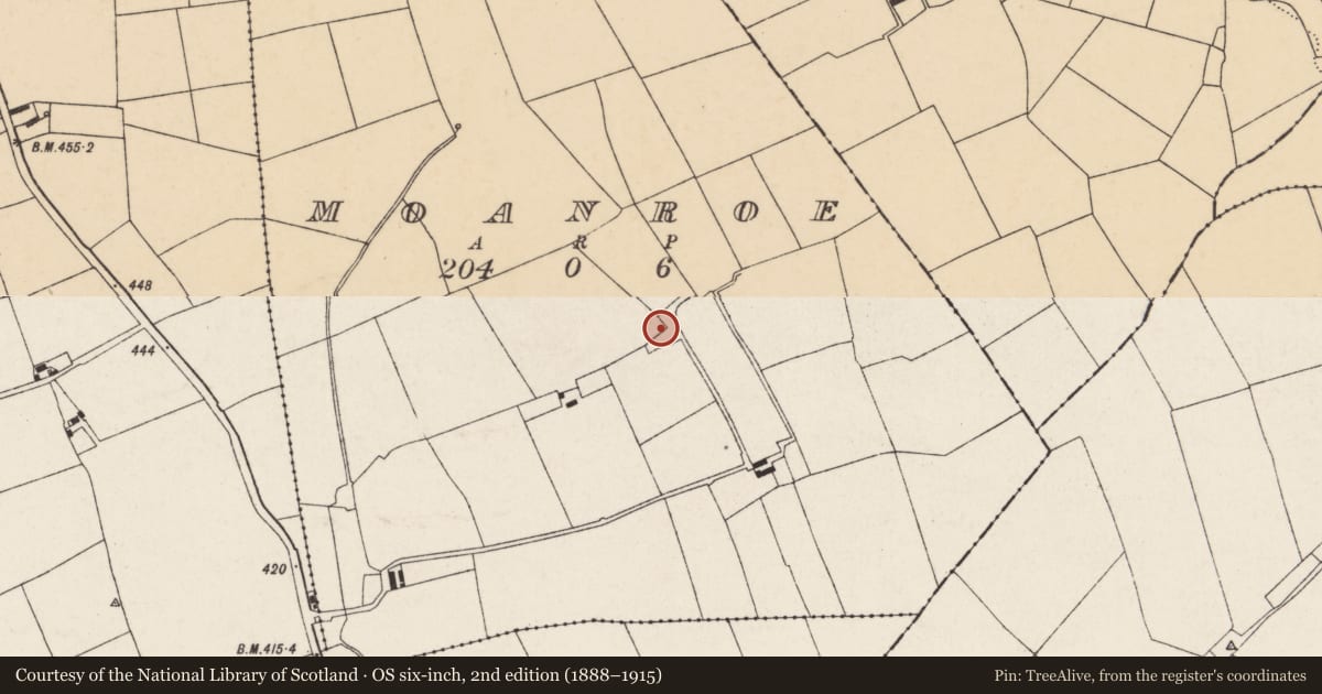 Ordnance Survey six-inch map, 2nd edition (1888–1915) covering the location of Burnt mound, Moanroe, County Cork, with a pin at the register's coordinates