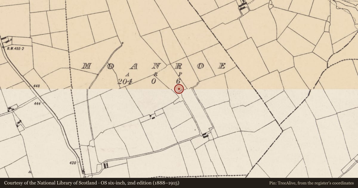 Ordnance Survey six-inch map, 2nd edition (1888–1915) covering the location of Burnt mound, Moanroe, County Cork, with a pin at the register's coordinates