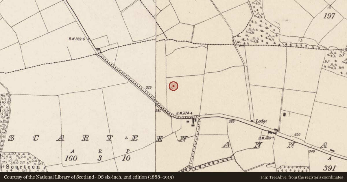 Ordnance Survey six-inch map, 2nd edition (1888–1915) covering the location of Fulacht fia, Annabella, Part of, County Cork, with a pin at the register's coordinates