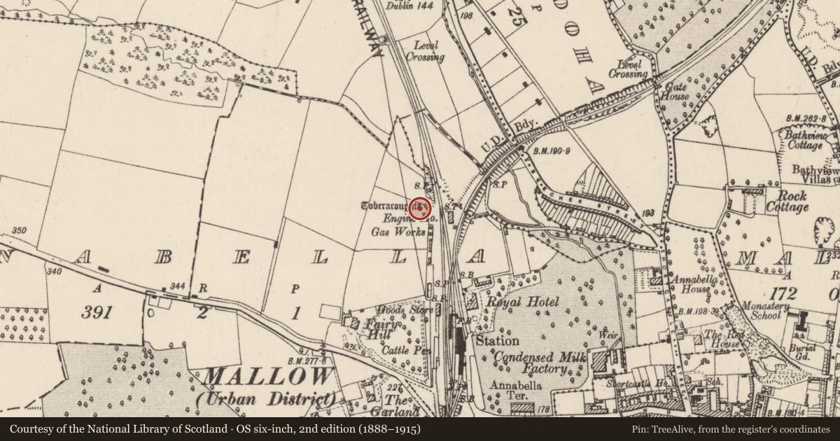 Ordnance Survey six-inch map, 2nd edition (1888–1915) covering the location of Ritual site - holy well, Annabella, Part of, County Cork, with a pin at the register's coordinates