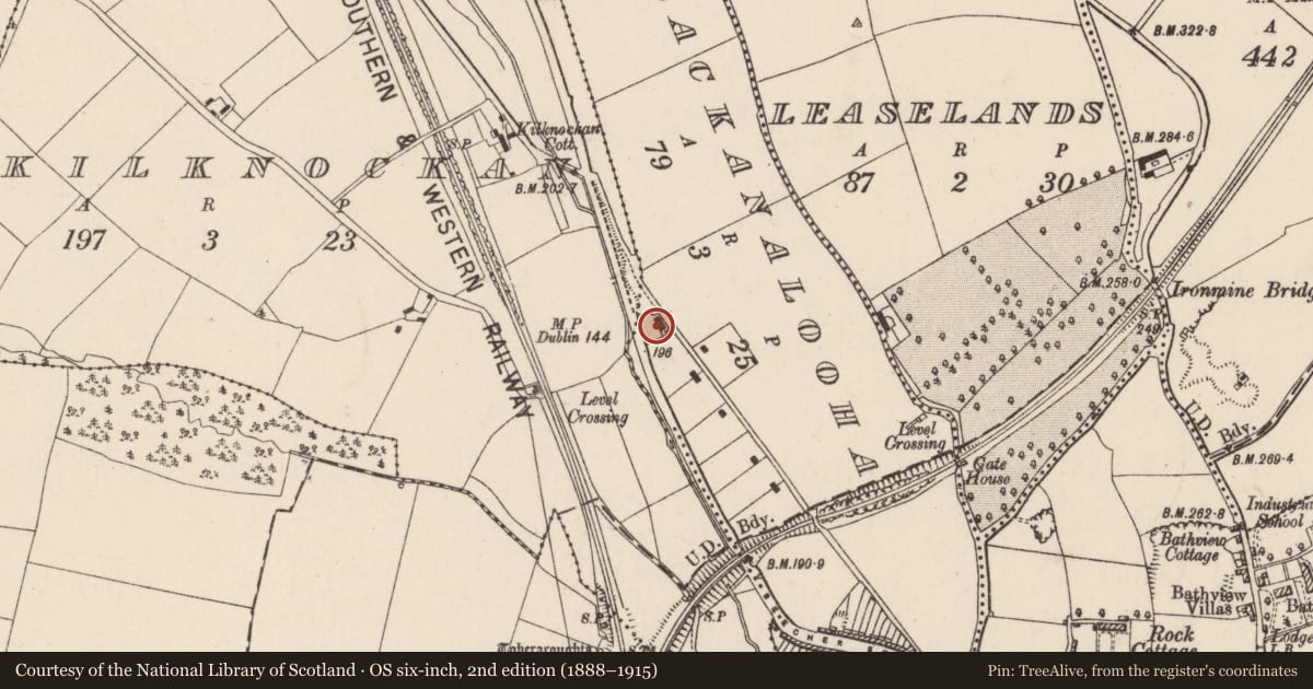 Ordnance Survey six-inch map, 2nd edition (1888–1915) covering the location of Fever hospital, Lackanalooha, County Cork, with a pin at the register's coordinates