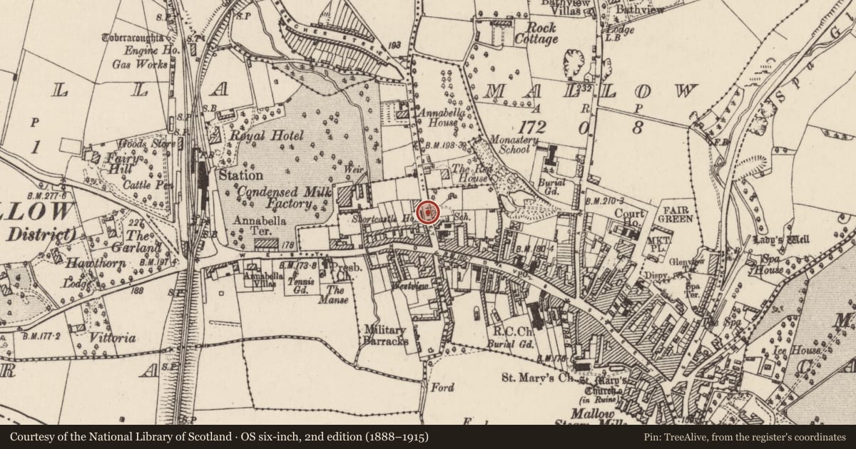 Ordnance Survey six-inch map, 2nd edition (1888–1915) covering the location of Castle - unclassified, Mallow, County Cork, with a pin at the register's coordinates