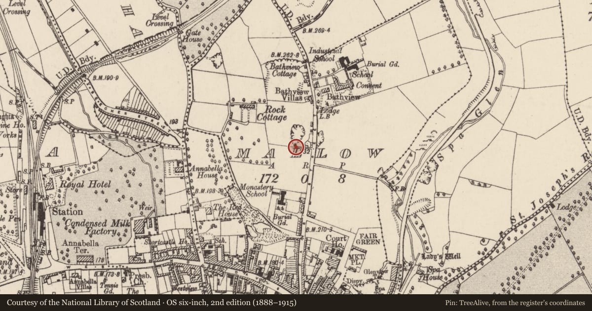 Ordnance Survey six-inch map, 2nd edition (1888–1915) covering the location of Kiln - lime, Mallow, County Cork, with a pin at the register's coordinates
