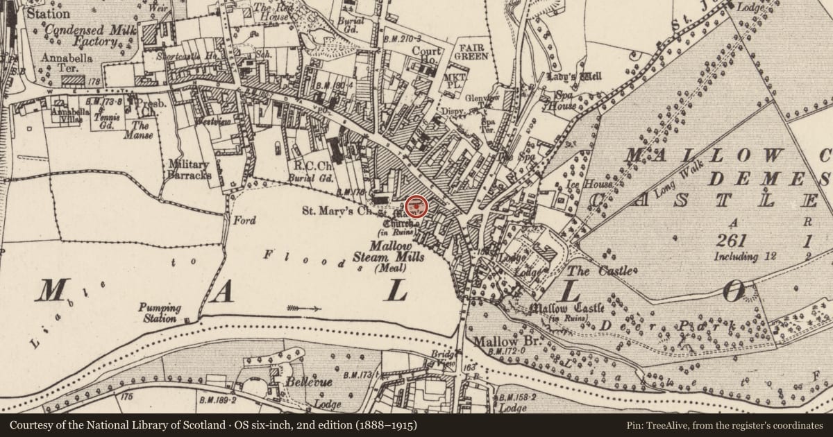 Ordnance Survey six-inch map, 2nd edition (1888–1915) covering the location of Graveyard, Mallow, County Cork, with a pin at the register's coordinates