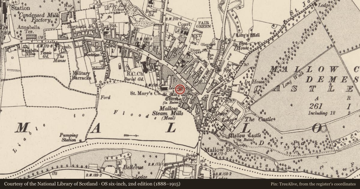 Ordnance Survey six-inch map, 2nd edition (1888–1915) covering the location of Church, Mallow, County Cork, with a pin at the register's coordinates