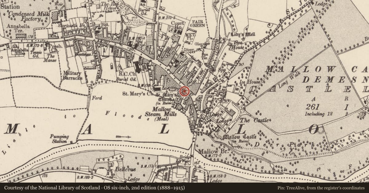 Ordnance Survey six-inch map, 2nd edition (1888–1915) covering the location of Market-house, Mallow, County Cork, with a pin at the register's coordinates