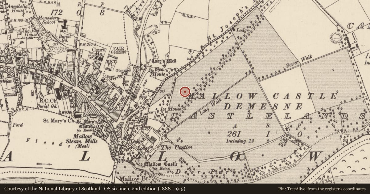 Ordnance Survey six-inch map, 2nd edition (1888–1915) covering the location of Kiln - lime, Castlelands, County Cork, with a pin at the register's coordinates