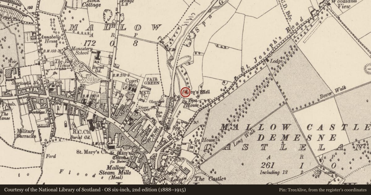 Ordnance Survey six-inch map, 2nd edition (1888–1915) covering the location of Ritual site - holy well, Spaglen, County Cork, with a pin at the register's coordinates