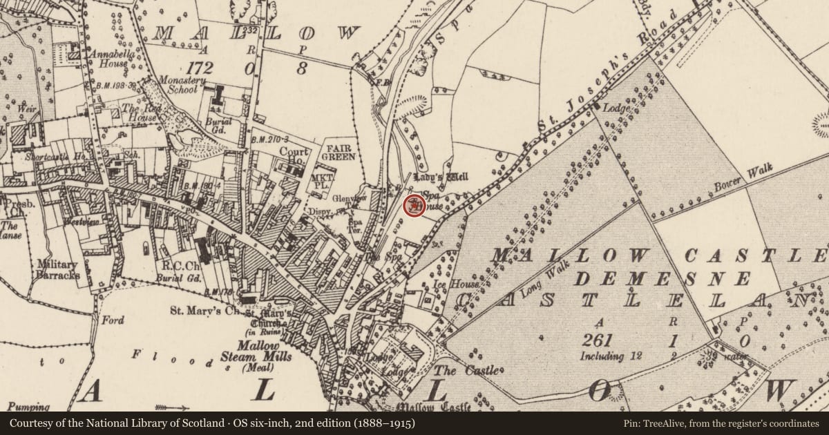 Ordnance Survey six-inch map, 2nd edition (1888–1915) covering the location of Ritual site - holy well, Spaglen, County Cork, with a pin at the register's coordinates