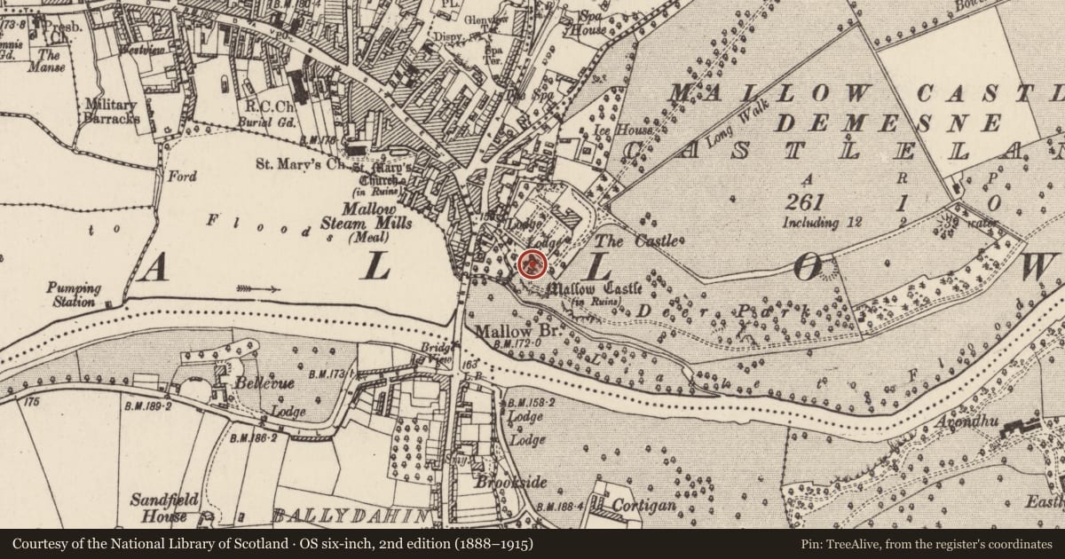 Ordnance Survey six-inch map, 2nd edition (1888–1915) covering the location of House - fortified house, Castlelands, County Cork, with a pin at the register's coordinates