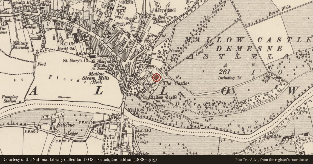 Ordnance Survey six-inch map, 2nd edition (1888–1915) covering the location of Country house, Castlelands, County Cork, with a pin at the register's coordinates