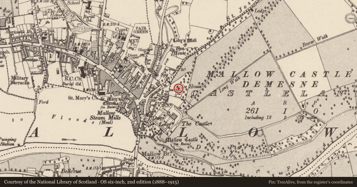 Ordnance Survey six-inch map, 2nd edition (1888–1915) covering the location of Icehouse, Castlelands, County Cork, with a pin at the register's coordinates