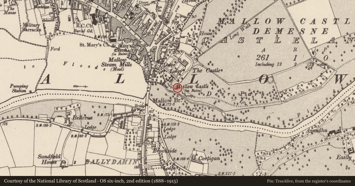 Ordnance Survey six-inch map, 2nd edition (1888–1915) covering the location of Castle - tower house, Castlelands, County Cork, with a pin at the register's coordinates