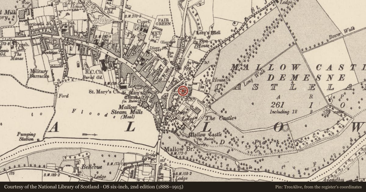 Ordnance Survey six-inch map, 2nd edition (1888–1915) covering the location of Hospital, Mallow, County Cork, with a pin at the register's coordinates