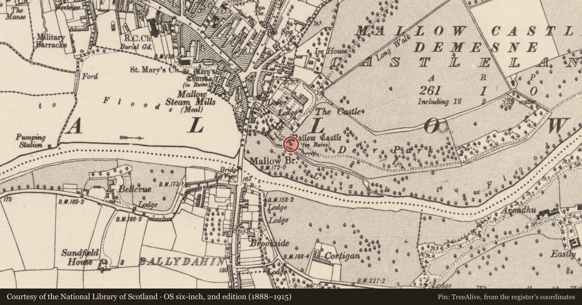 Ordnance Survey six-inch map, 2nd edition (1888–1915) covering the location of Bawn, Castlelands, County Cork, with a pin at the register's coordinates