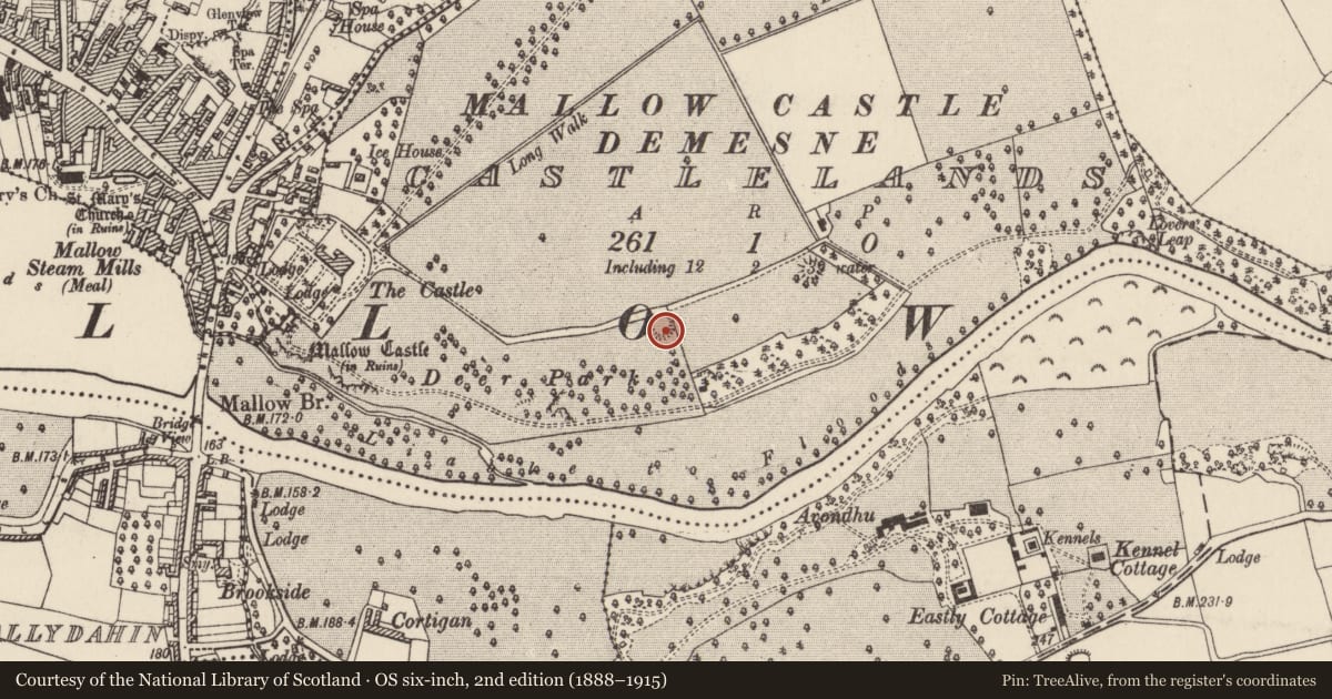 Ordnance Survey six-inch map, 2nd edition (1888–1915) covering the location of Ringfort - rath, Castlelands, County Cork, with a pin at the register's coordinates
