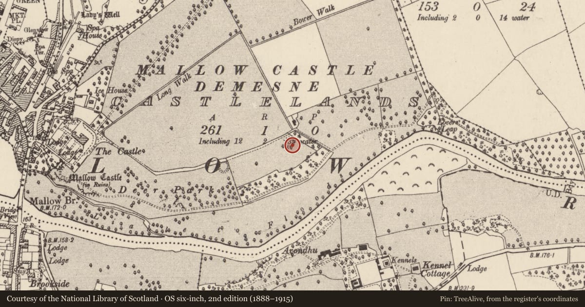 Ordnance Survey six-inch map, 2nd edition (1888–1915) covering the location of Ringfort - rath, Castlelands, County Cork, with a pin at the register's coordinates