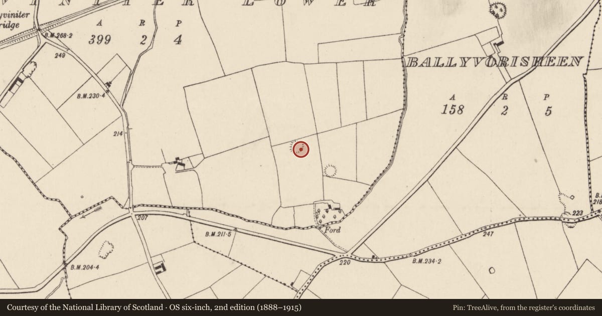 Ordnance Survey six-inch map, 2nd edition (1888–1915) covering the location of Ringfort - rath, Ballyviniter Lower, County Cork, with a pin at the register's coordinates