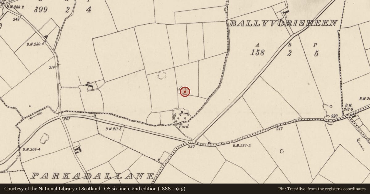 Ordnance Survey six-inch map, 2nd edition (1888–1915) covering the location of Ringfort - rath, Ballyviniter Lower, County Cork, with a pin at the register's coordinates