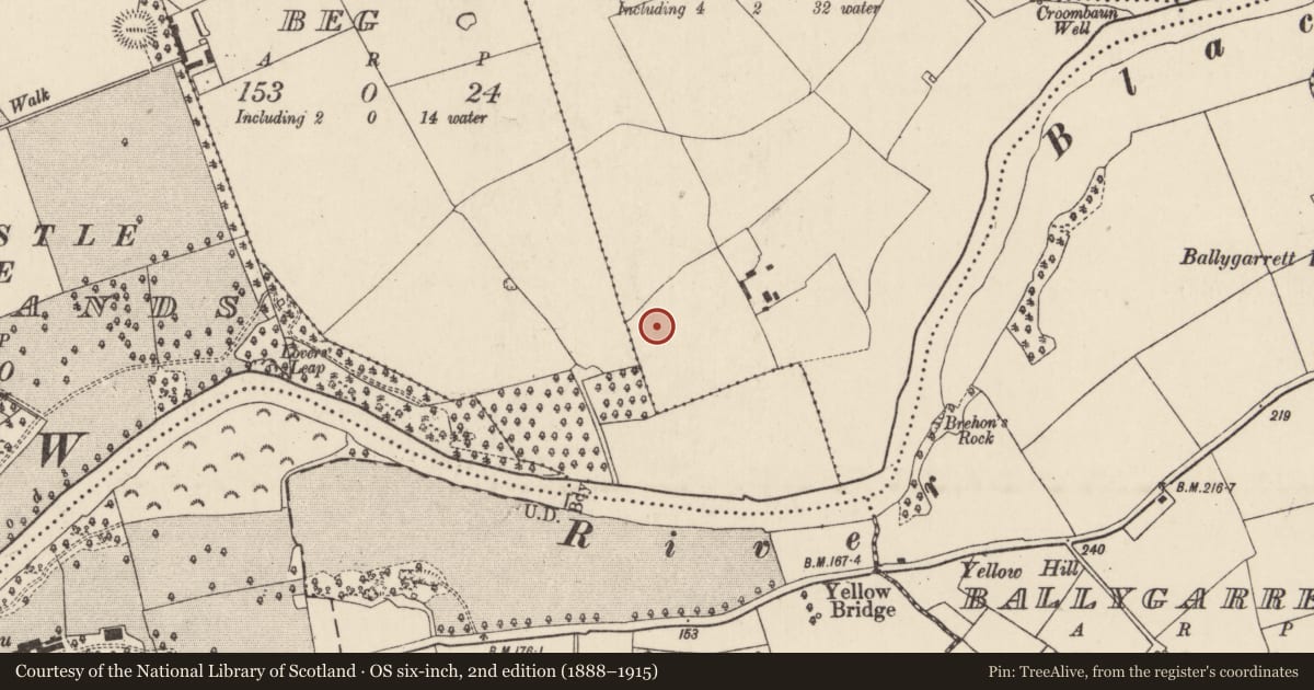 Ordnance Survey six-inch map, 2nd edition (1888–1915) covering the location of Enclosure, Carrigoon More, County Cork, with a pin at the register's coordinates