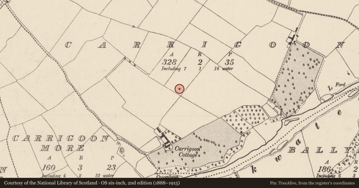 Ordnance Survey six-inch map, 2nd edition (1888–1915) covering the location of Fulacht fia, Carrigoon, County Cork, with a pin at the register's coordinates