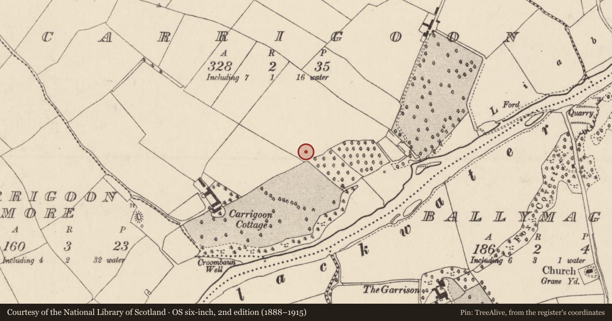 Ordnance Survey six-inch map, 2nd edition (1888–1915) covering the location of Enclosure, Carrigoon, County Cork, with a pin at the register's coordinates