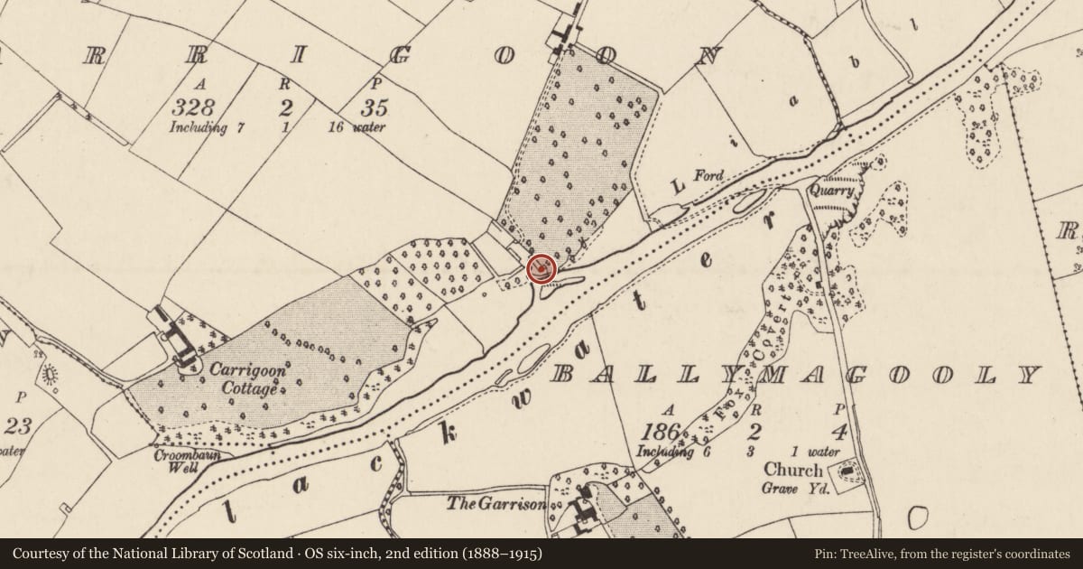 Ordnance Survey six-inch map, 2nd edition (1888–1915) covering the location of Country house, Carrigoon, County Cork, with a pin at the register's coordinates