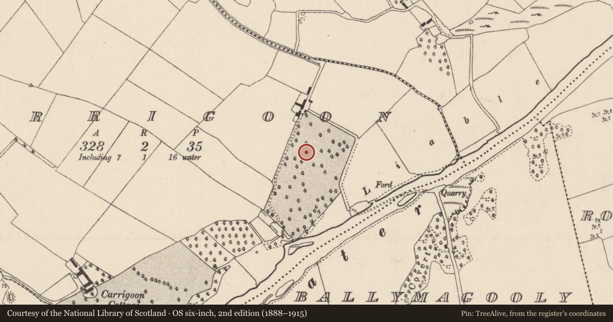 Ordnance Survey six-inch map, 2nd edition (1888–1915) covering the location of Ringfort - rath, Carrigoon, County Cork, with a pin at the register's coordinates
