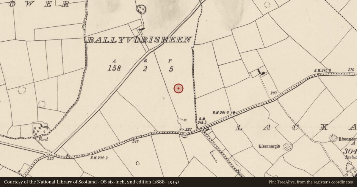 Ordnance Survey six-inch map, 2nd edition (1888–1915) covering the location of Ringfort - rath, Ballyvorisheen, County Cork, with a pin at the register's coordinates